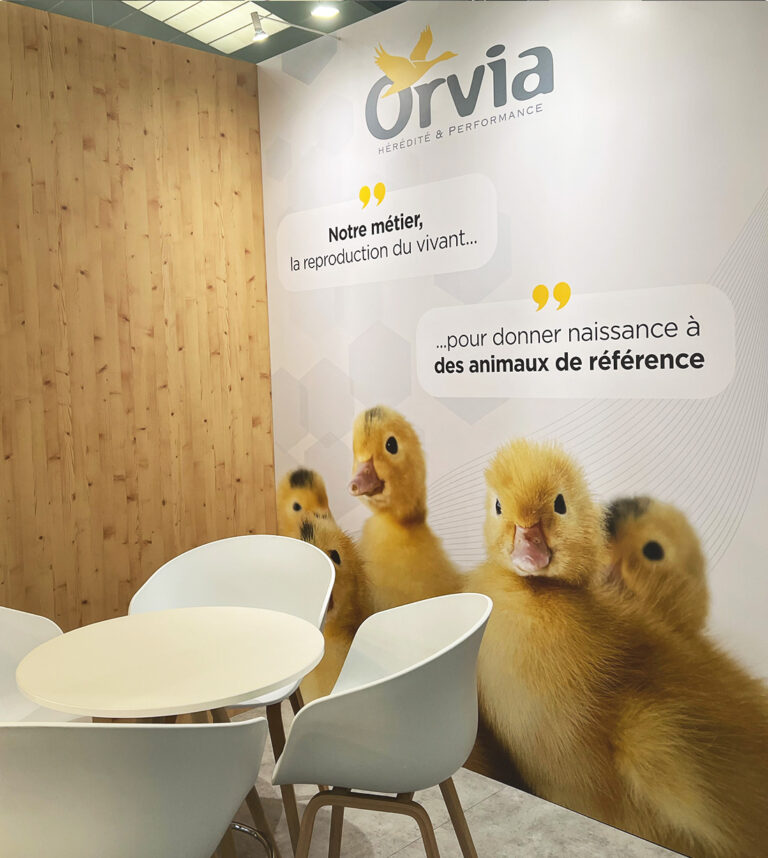 Design graphique stand Orvia